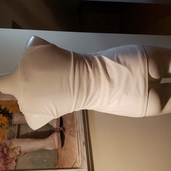 WHBM Tank - Picture 7 of 8